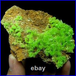 AA PYROMORPHITE crystal cluster, mineral specimen-BZ096