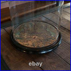 Antique Taxidermy Dome, English, Glass, Collectible, Display Showcase, Edwardian