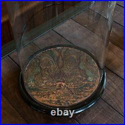 Antique Taxidermy Dome, English, Glass, Collectible, Display Showcase, Edwardian