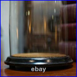 Antique Taxidermy Showcase, English, Glass, Leather, Display Dome, 19th Century