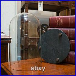 Antique Taxidermy Showcase, English, Glass, Leather, Display Dome, 19th Century