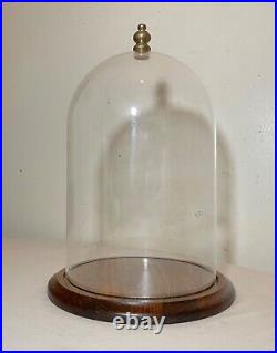 Antique glass wood brass display case cloche dome statue show cabinet bell jar