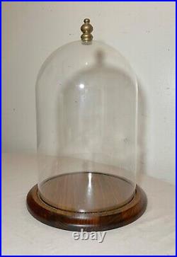 Antique glass wood brass display case cloche dome statue show cabinet bell jar