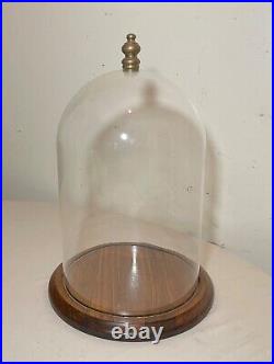 Antique glass wood brass display case cloche dome statue show cabinet bell jar