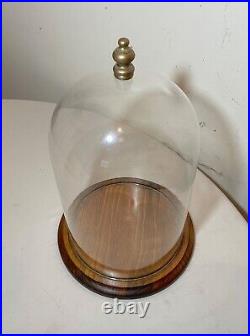 Antique glass wood brass display case cloche dome statue show cabinet bell jar