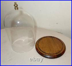 Antique glass wood brass display case cloche dome statue show cabinet bell jar