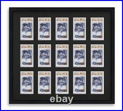BGS BVG Graded Card Frame Display Holds 15 Slabs, UV Protection NEVER OPENED