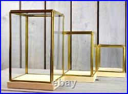 Glass Display Showcase and Brass Box Dome with Wooden Base Tall 23.5 cm