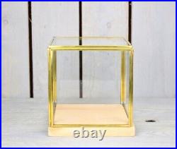 Glass and Brass Display Showcase Box Dome with Wooden Base