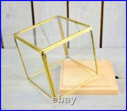 Glass and Brass Display Showcase Box Dome with Wooden Base