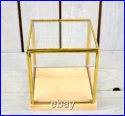 Glass and Brass Display Showcase Box Dome with Wooden Base