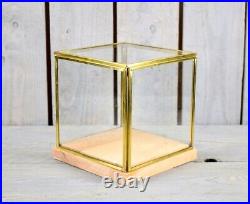 Glass and Brass Display Showcase Box Dome with Wooden Base