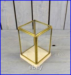 Glass and Brass Display Showcase Box Dome with Wooden Base Tall 17.5 cm