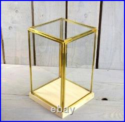 Glass and Brass Display Showcase Box Dome with Wooden Base Tall 23.5 cm