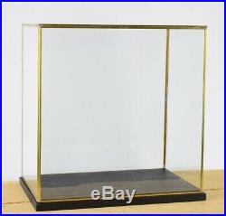Hand Made Large Glass and Brass Display Showcase Box Dome With Black Wooden B
