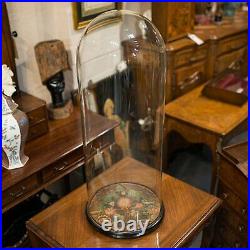 Large Antique Glass Display Dome, English, Taxidermy, Showcase, Victorian, 1900