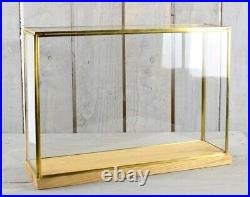 Large Glass and Brass Display Showcase with Natural Base 66x20.5x17 cm