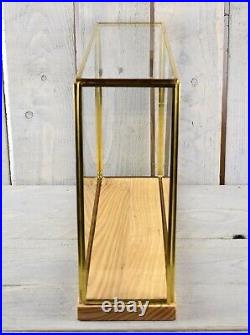 Large Glass and Brass Display Showcase with Natural Base 66x20.5x17 cm