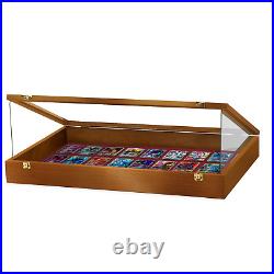 PENNZONI Trade Show Display Case with Acrylic Side Guards Walnut