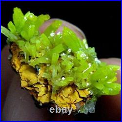 PYROMORPHITE &CERUSSITE crystal cluster, mineral-BZ102