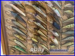Put The Megabass Lures In Handmade Showcase And Display Total Of 78 Lures. Lure