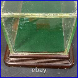 Small Antique Wood Glass Store Display Case Showcase Box