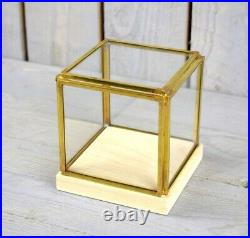 Small Glass and Brass Display Showcase Box Dome with Wooden Base
