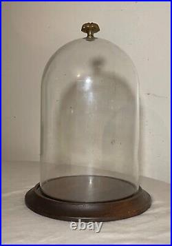 Vintage glass wood brass display case cloche dome statue show cabinet bell jar