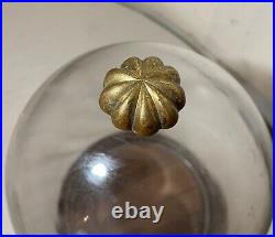 Vintage glass wood brass display case cloche dome statue show cabinet bell jar