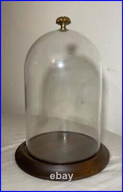 Vintage glass wood brass display case cloche dome statue show cabinet bell jar