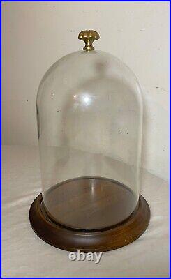 Vintage glass wood brass display case cloche dome statue show cabinet bell jar