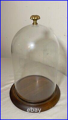 Vintage glass wood brass display case cloche dome statue show cabinet bell jar